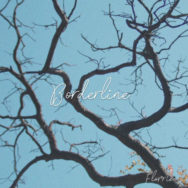 Borderline cover
