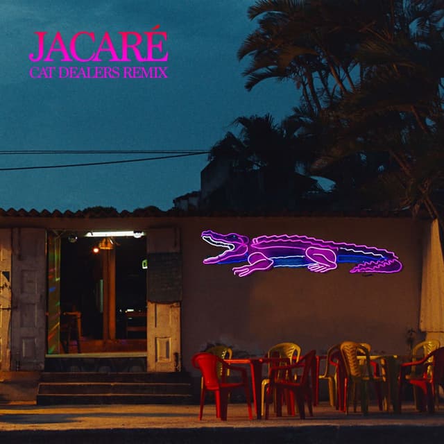 Jacaré (Cat Dealers Remix) cover