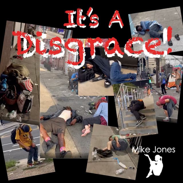 It’s A Disgrace cover