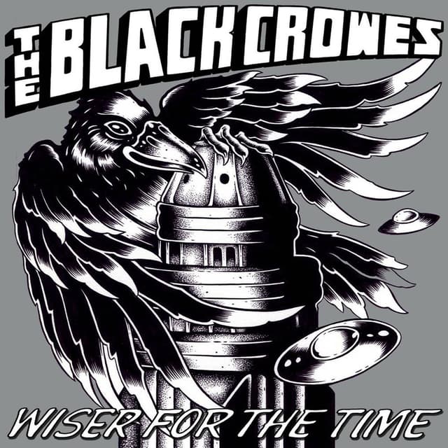Wiser for the Time cover