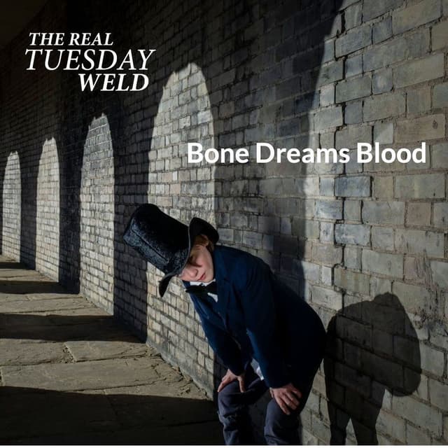 Bone Dreams Blood cover