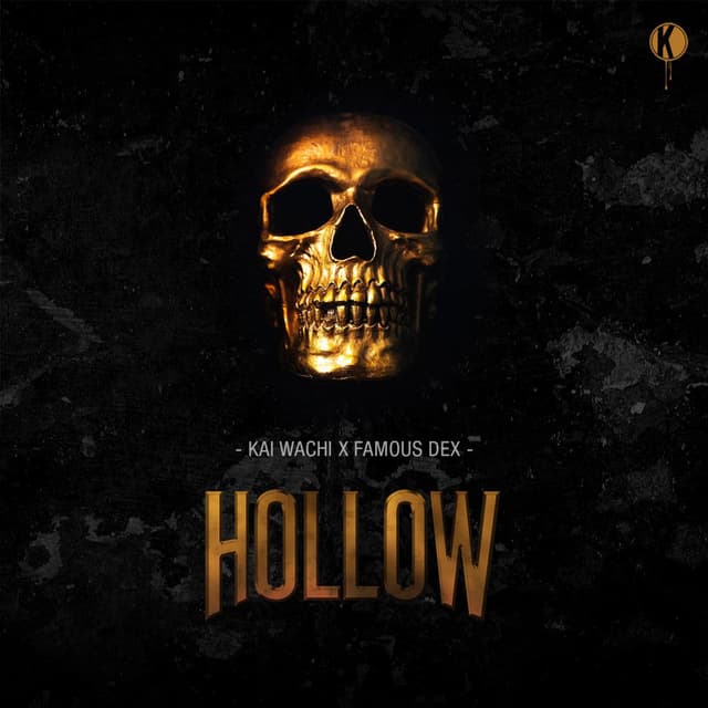Hollow cover
