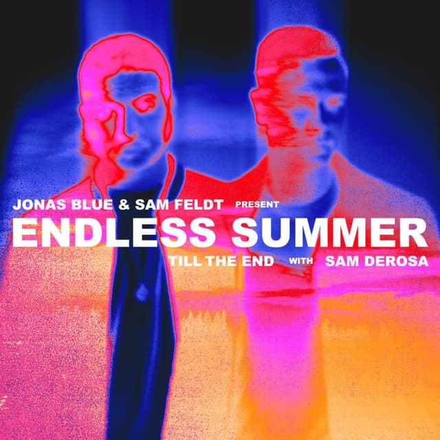 Till the End album cover