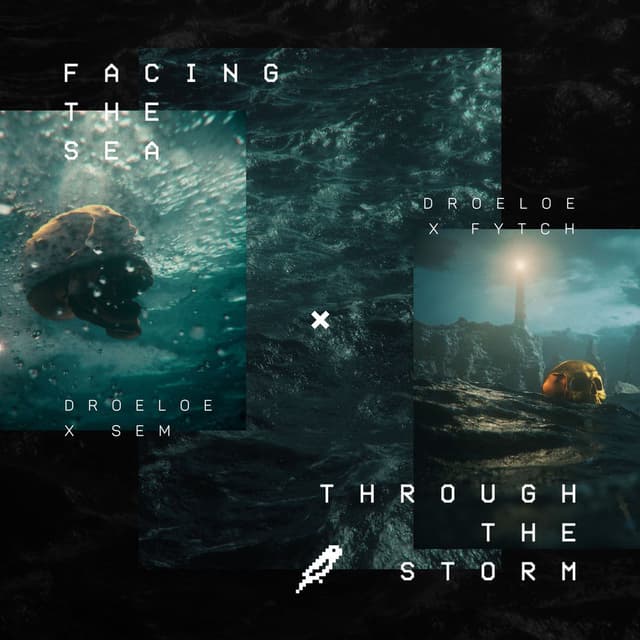 Facing the Sea / Through the Storm cover