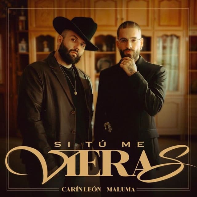 Si Tú Me Vieras cover