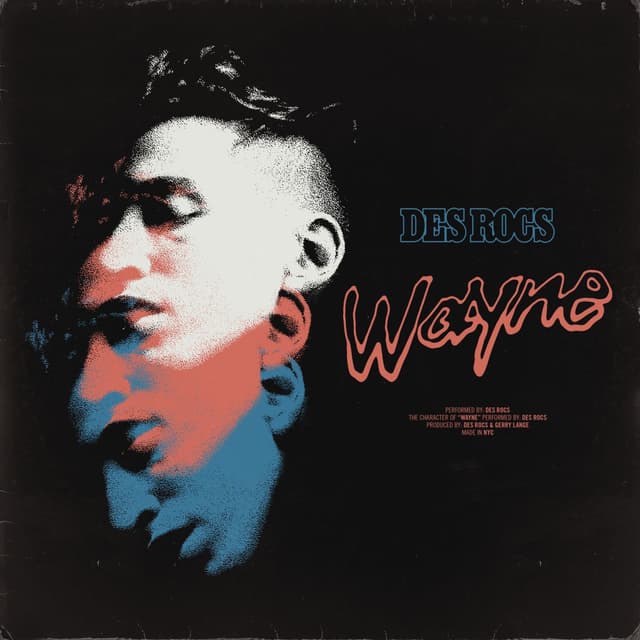 Wayne cover
