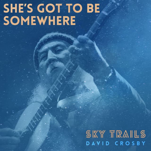 She's Got To Be Somewhere cover
