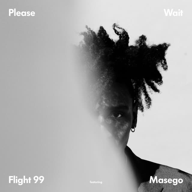 Flight 99 cover