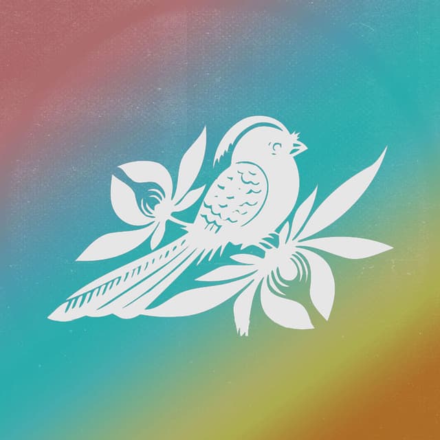 Rainbow cover