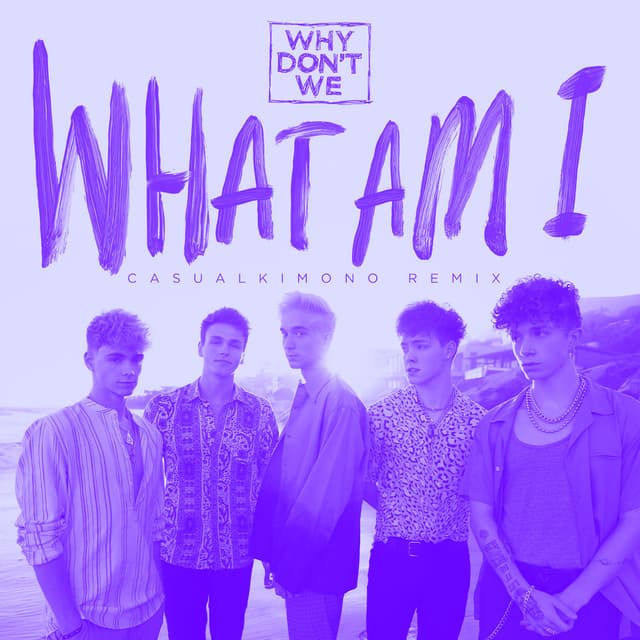 What Am I (Casualkimono Remix) cover