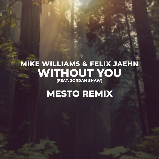 Without You (Mesto Remix) cover