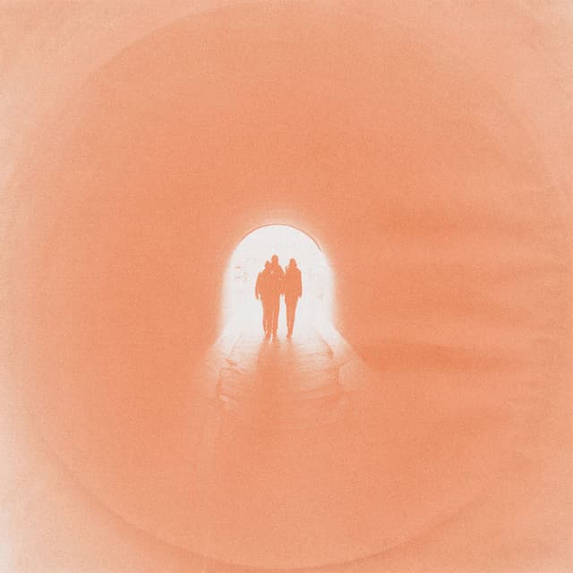 Wild One album cover