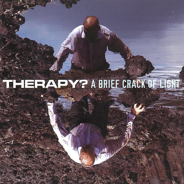A Brief Crack of Light cover