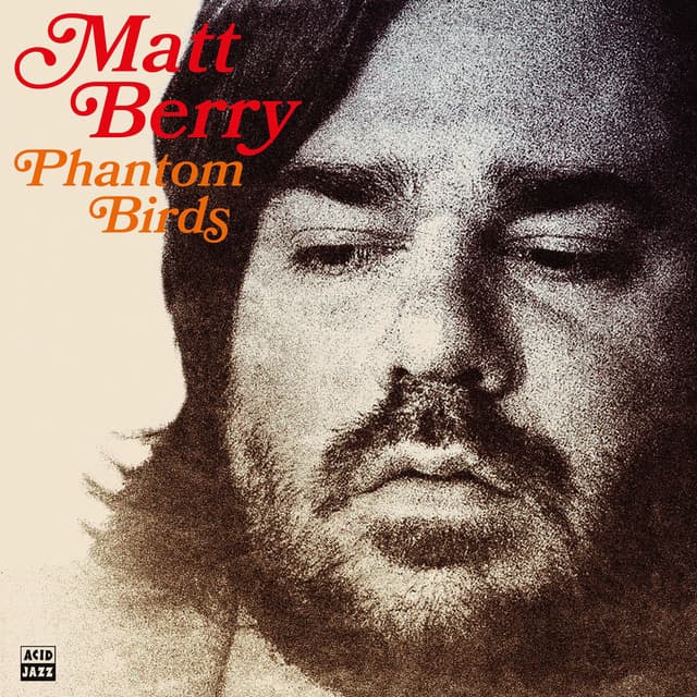 Phantom Birds cover