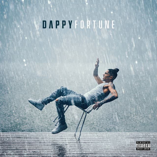 Champagne cover