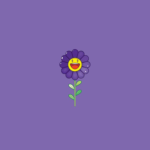 Morado cover