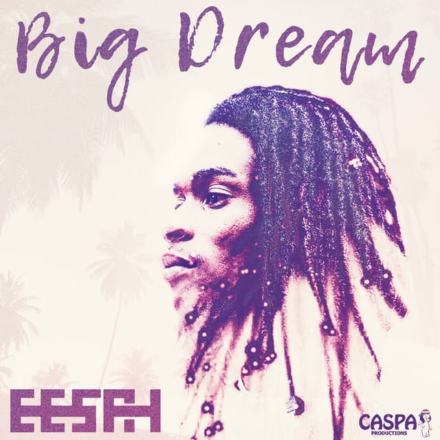 Big Dream cover