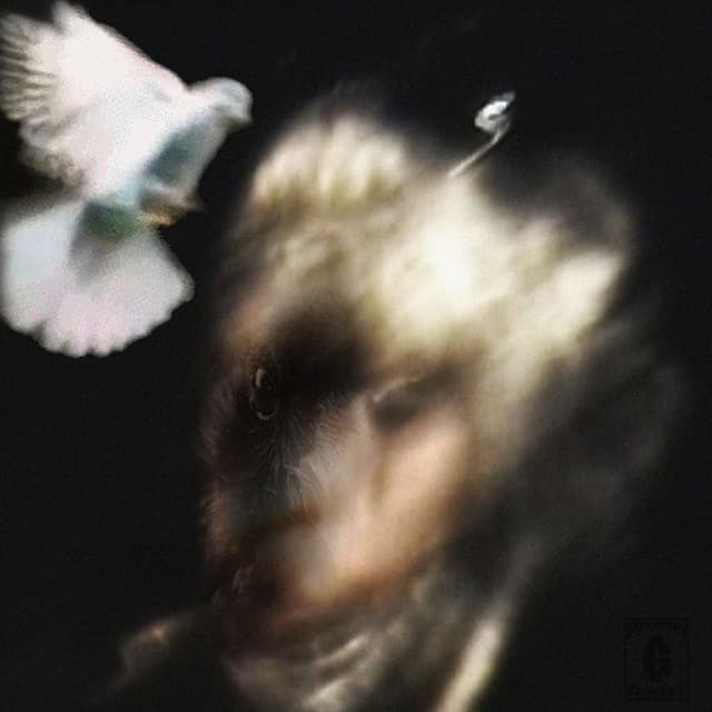 City of Crows cover