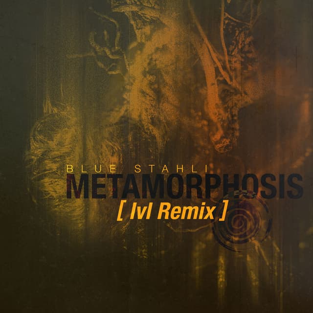 Metamorphosis (lvl Remix) cover