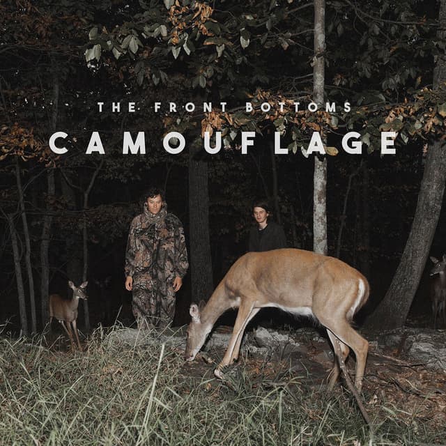 Camouflage album cover