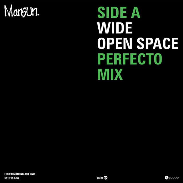 Wide Open Space (Perfecto Mix) cover