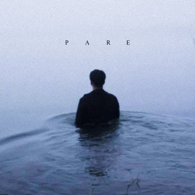 Pare cover