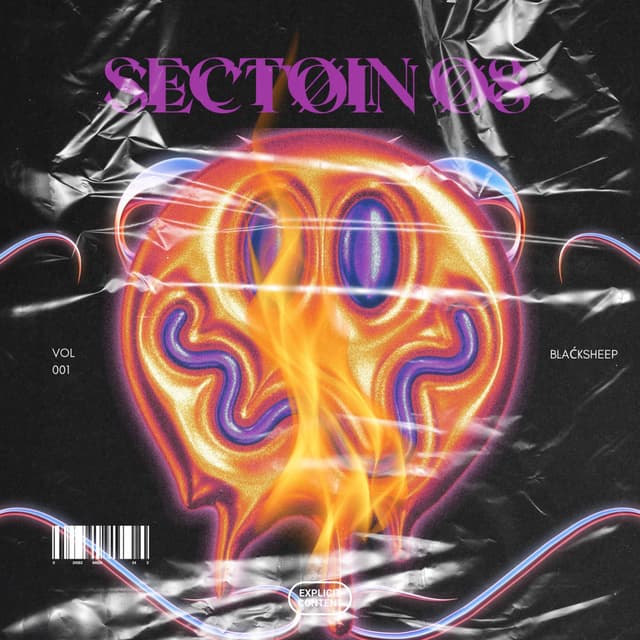 Sectoin 08 (Remix) cover