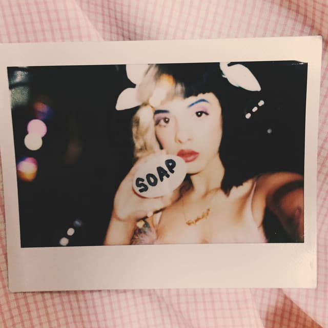 Soap cover