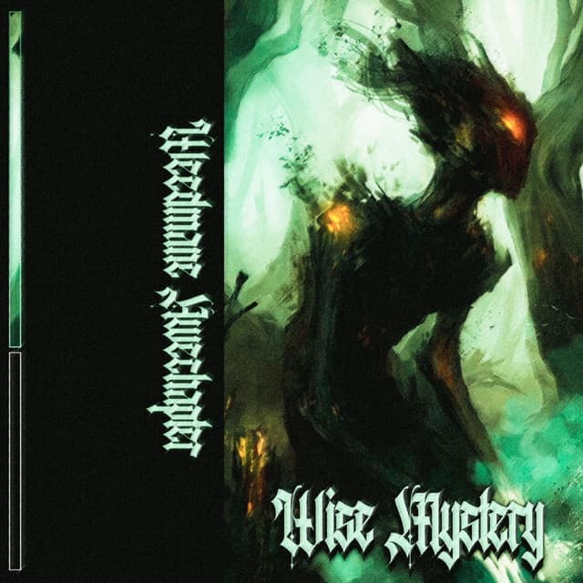 WISE MYSTERY cover