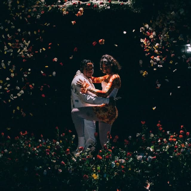 Hoy Amanecí cover