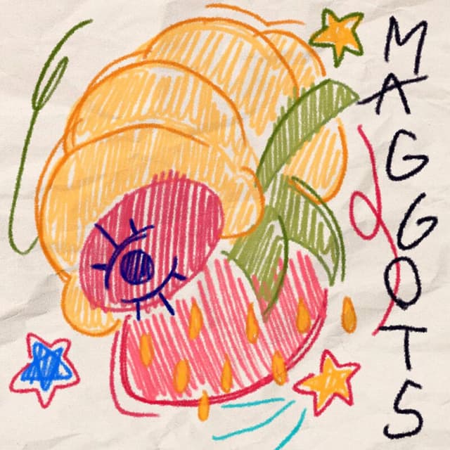 MAGGOTS cover