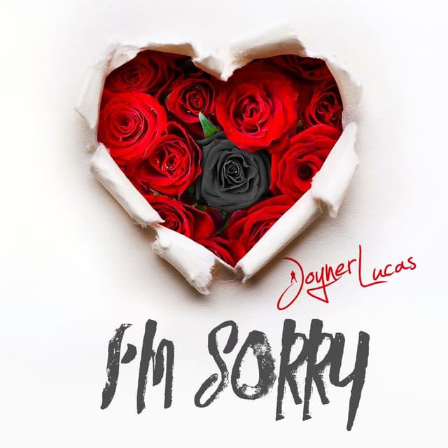 I'm Sorry cover