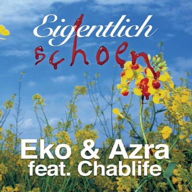 Eigentlich schoen cover