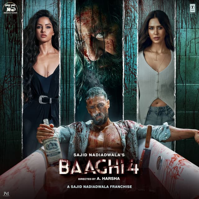 Baaghi 4 cover