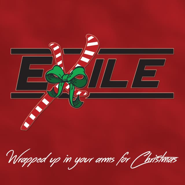 Wrapped Up in Your Arms for Christmas cover