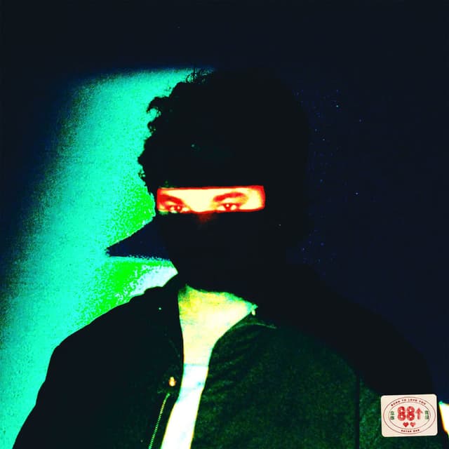 born to love you cover