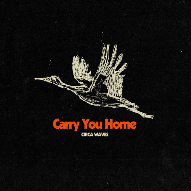 Carry You Home cover