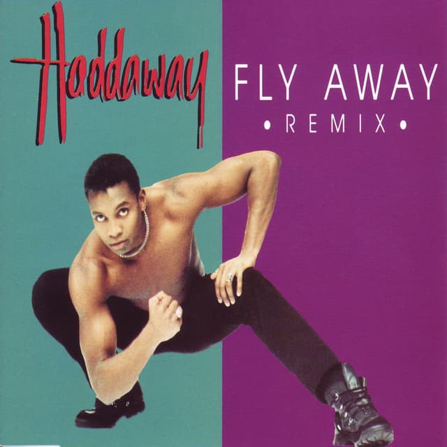 Fly Away (Remixes) cover