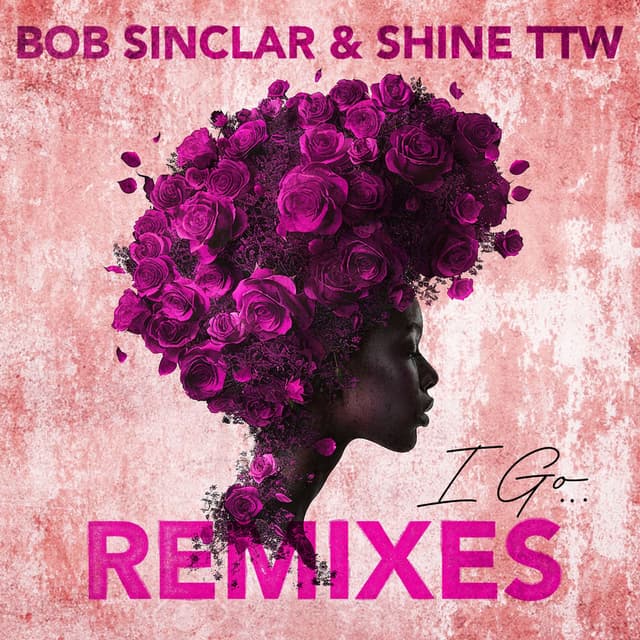 I Go Remixes cover