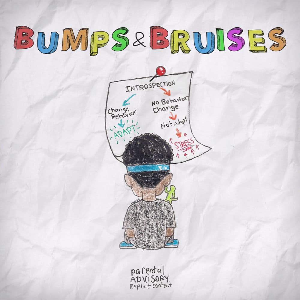 Bumps & Bruises cover