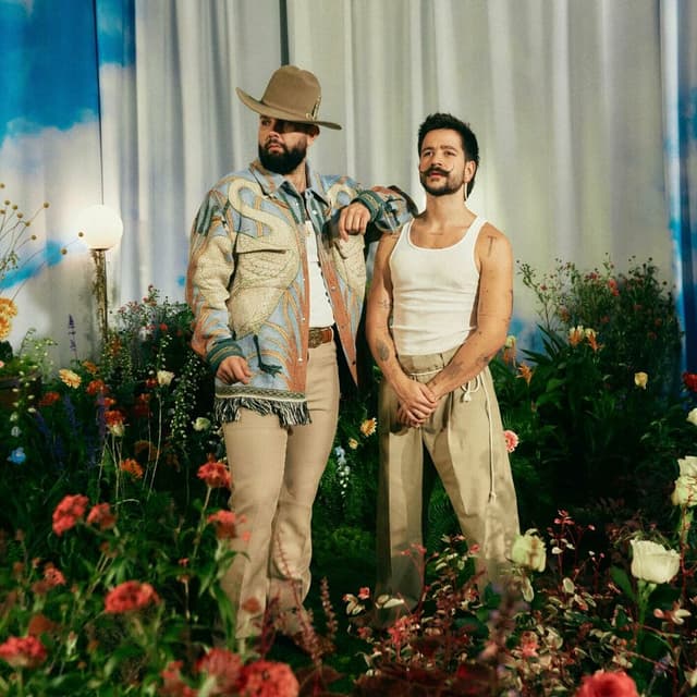 Una Vida Pasada cover