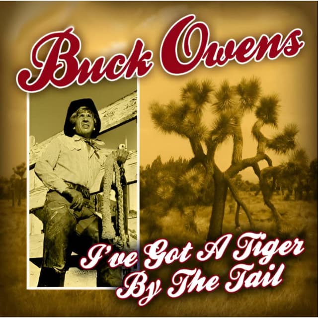 I've Got a Tiger by the Tail cover