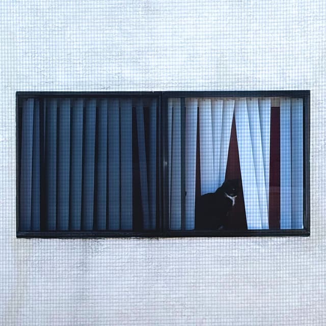 Cradle/Tab Laih cover