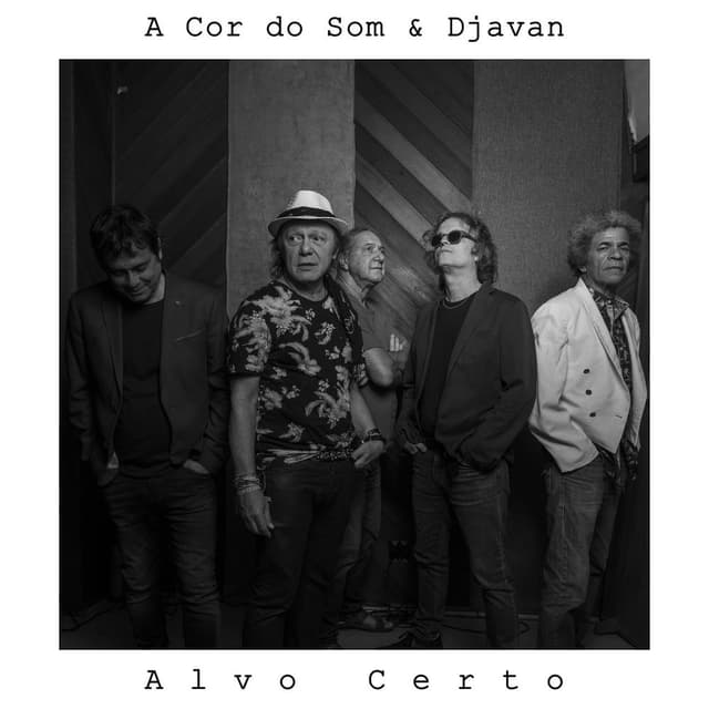 Alvo Certo cover