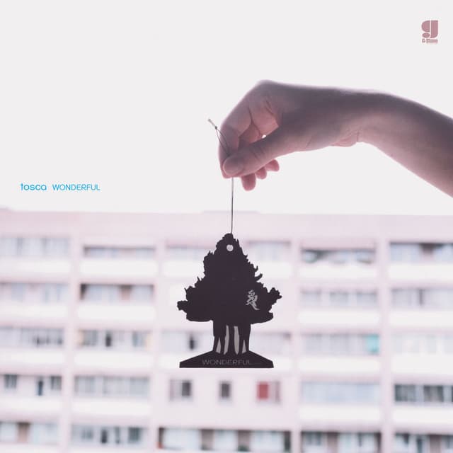Wonderful cover