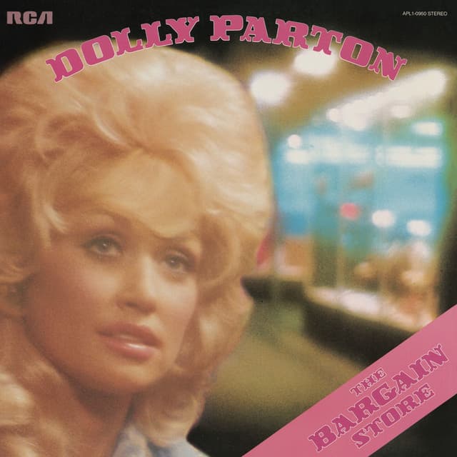 The Bargain Store album cover