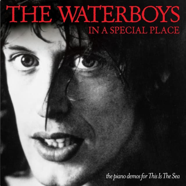 In a Special Place: The Piano Demos for This Is the Sea cover