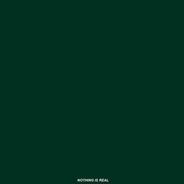 NOTHING IS REAL cover