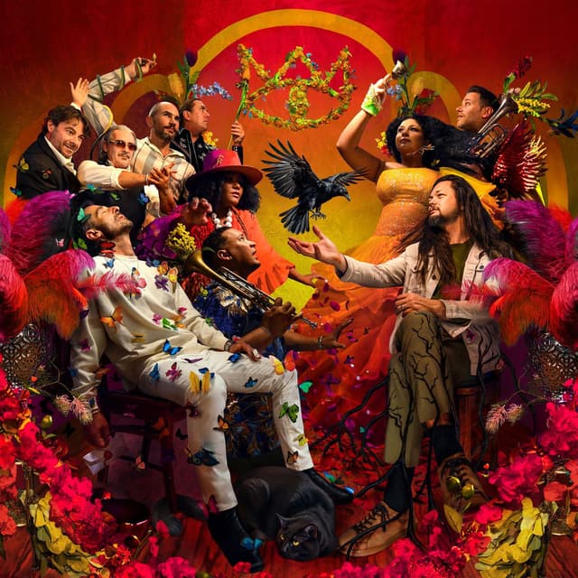 Bird in Paradise (Deluxe Edition) cover