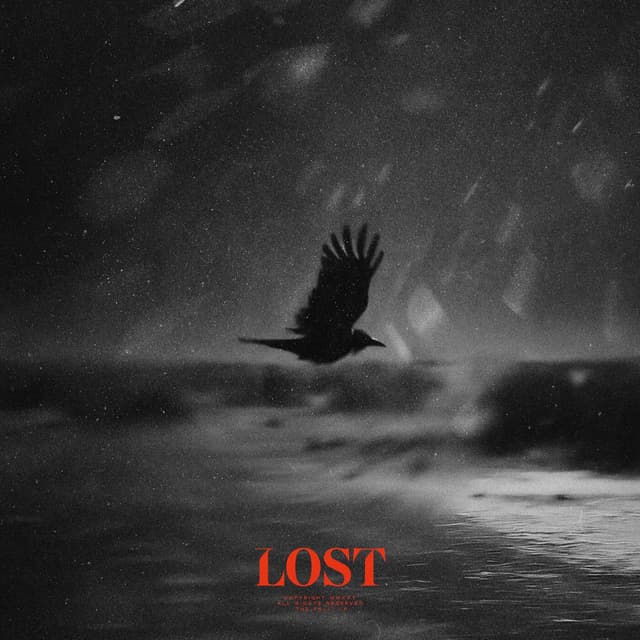 Lost cover